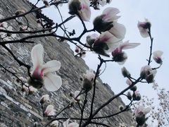 -东华门大街小区