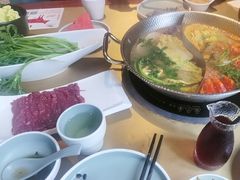 -手选潮汕鲜活牛肉火锅(二七广场店)