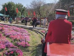 -丹樱生态园