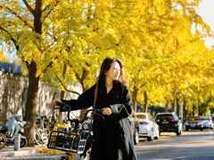 -三里屯东五街银杏大道