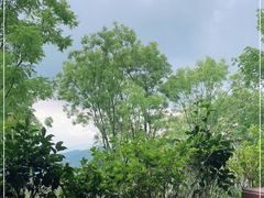 -熊猫主题餐厅