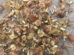 -兴隆红河漂流