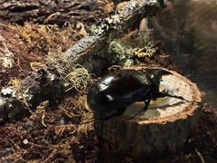 -太平洋海底世界