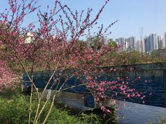 -重庆彩云湖湿地公园