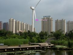 -长白岛森林公园