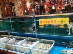 水产区-东大桥小国抻面烧烤(长通路店)