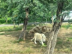 -秦皇岛野生动物园