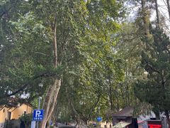 -T80科技文化国际社区-停车场
