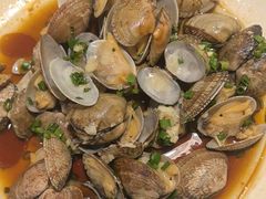 -新白鹿餐厅(百联中环店)