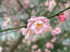 -求雨山文化公园