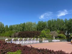 -仁和公园(顺义区)