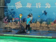 -合肥野生动物园