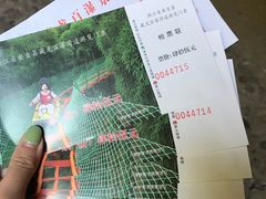 -藏龙百瀑风景区