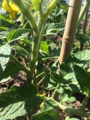 -形象革命造型·护肤Hair Studio