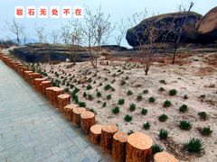 -白水寺森林公园