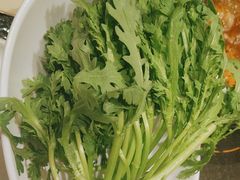 -蒙都43°9羊火锅(平庄店)