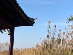 -沙家浜风景区