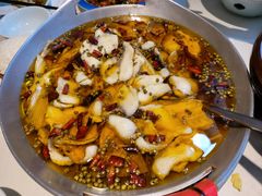 招牌水煮鱼-鑫巴蜀(和平里店)