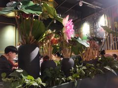 -听说碳烧蛙(高新万达店)