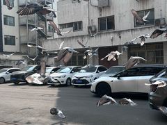 -小铜锣湾海鲜家常菜馆(河西店)