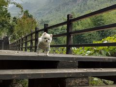 -赤水丹霞旅游区·佛光岩