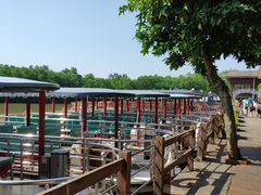 -大湾区中央湿地公园