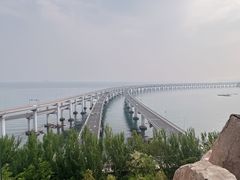 -天天渔港(杏林街店)