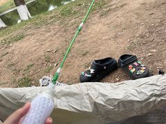 -蒲河岛湿地公园