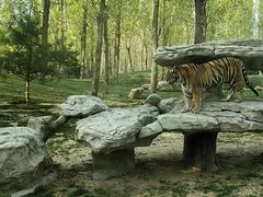 -北京野生动物园