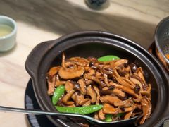 -陶陶居酒家(SM二期购物广场店)