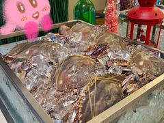 -天津水晶宫饭店