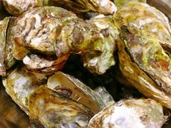 -宾朋海鲜特色美食餐厅·纯手工鲅鱼水饺(兴海路店)