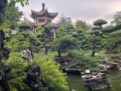 -华雅花园大酒店