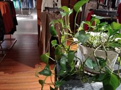 -春竹·微奥莱(北京西路店)