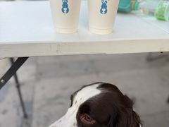-小意思咖啡店(草桥店)