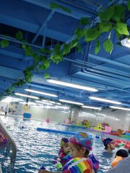 -子木乐园婴儿游泳馆(水晶港店)