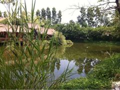 iphone_upload_pic-茂德公草堂