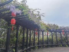 -花博汇(知音花月夜)