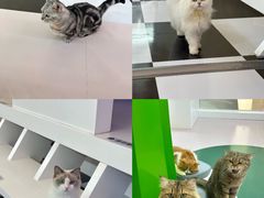 -天河领展广场