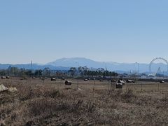 -敕勒川草原文化旅游区