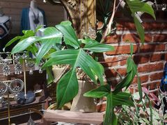 -拾光音乐餐酒吧(告庄星光夜市店)