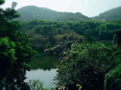android_upload_pic-白马涧龙池景区