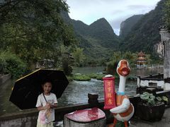 -靖西鹅泉风景区