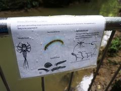 -怀托摩萤火虫洞