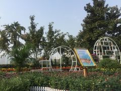 -西北湖绿化广场