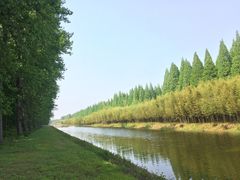 -黄海国家森林公园