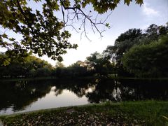 -上海共青森林公园