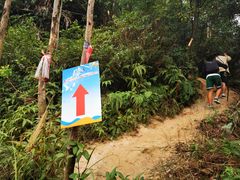 -黄埔油麻山森林公园