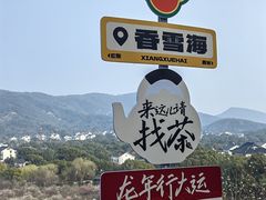 -香雪海