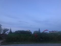 -周浦花海-停车场